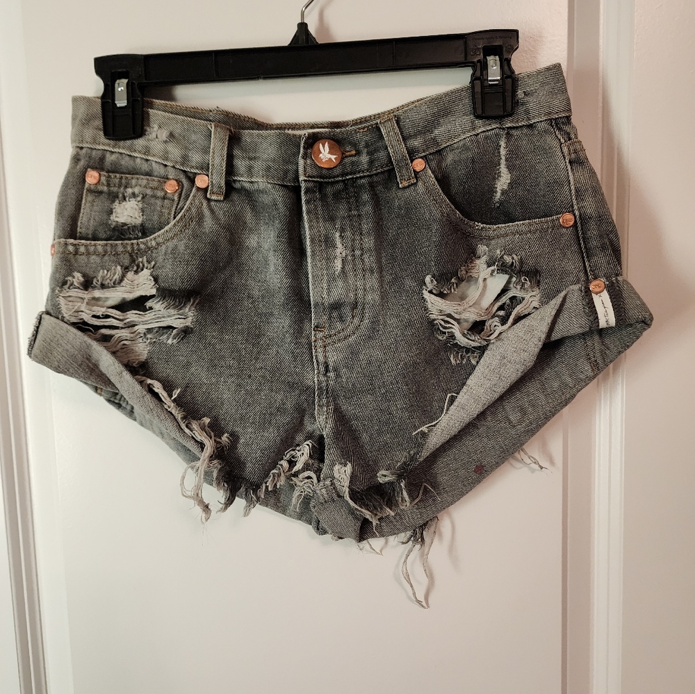 One teaspoon grey shorts
